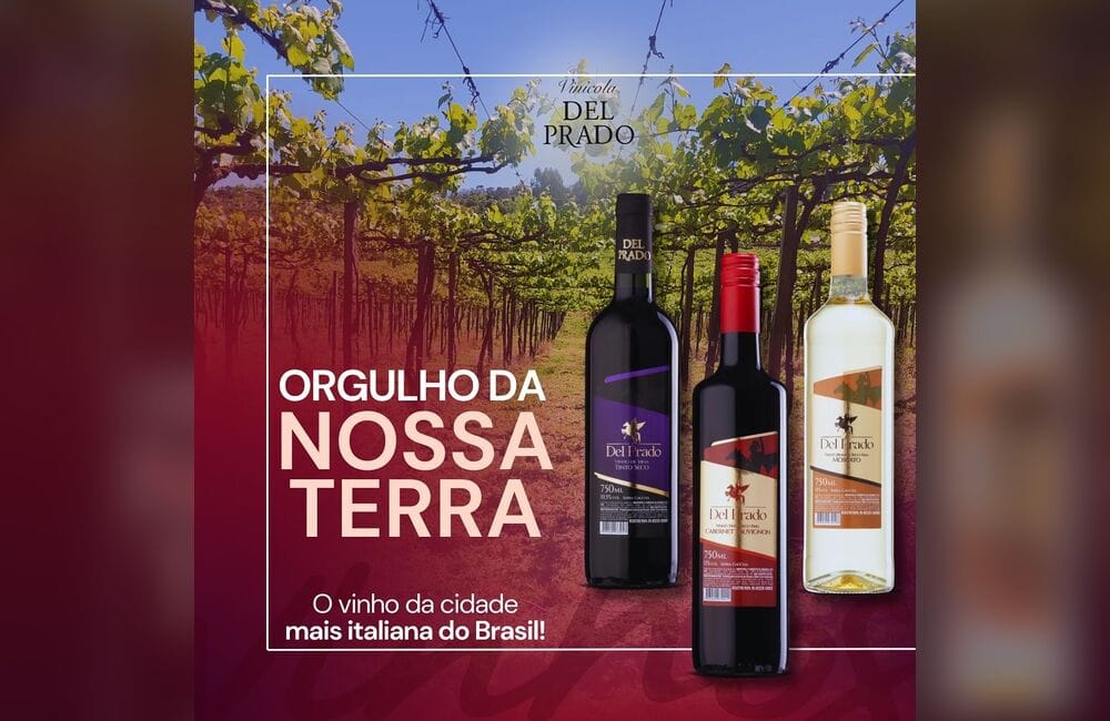 Vinhos Del Prado produzidos em Antônio Prado, na Serra Gaúcha